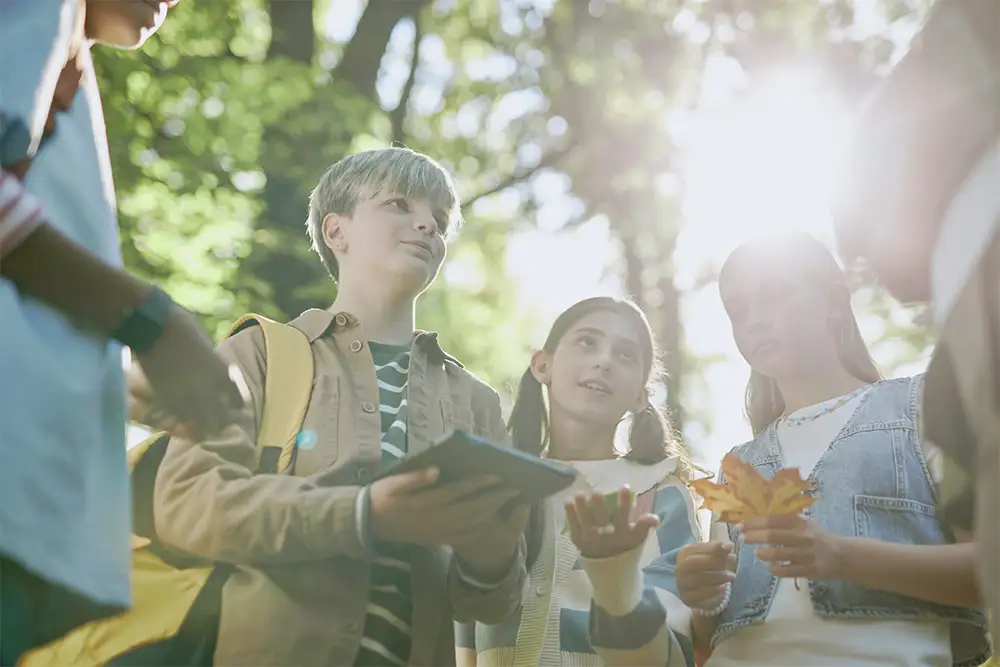 Wood Mood Cash Money Finanzbildung