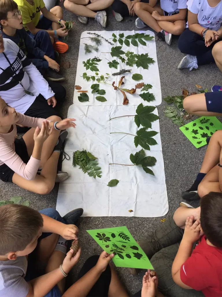 Woodmood Schulprojekttage